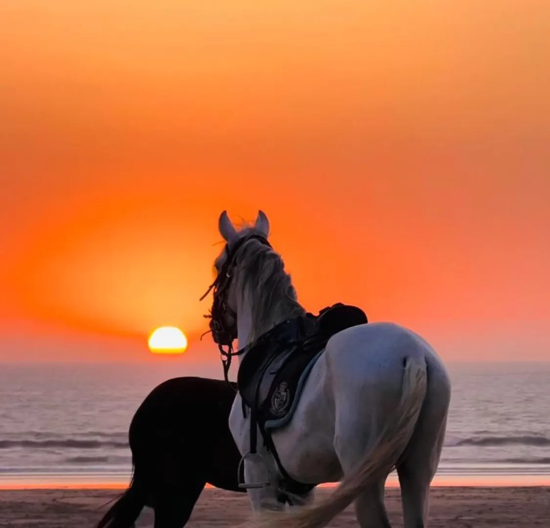 Villa Sunset Moulay Bouzerktoun Essaouira